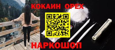 индика Новозыбков