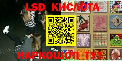 индика Новозыбков