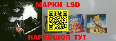 гашик Новокубанск