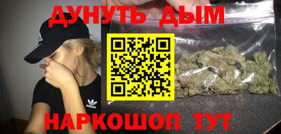 гашик Новокубанск