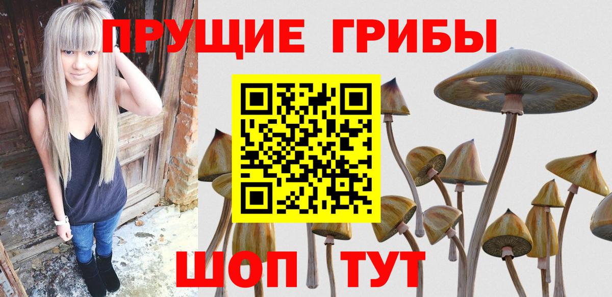 Галлюциногенные грибы мухоморы Солнечногорск