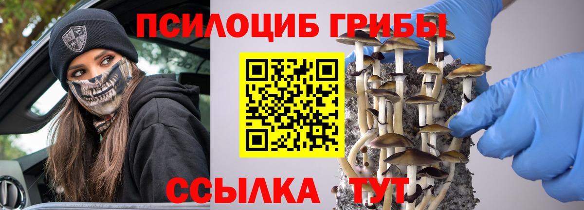 Галлюциногенные грибы MAGIC MUSHROOMS  Вход с VPN  Солнечногорск 